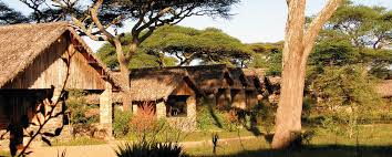 Ndutu Safari Lodge