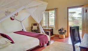 Ndutu Safari Lodge