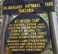 Camp Mti Mkubwa