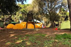 download - 2026-04-01T105252