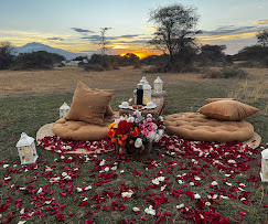 Birthday Celebration at Serval Wildlife