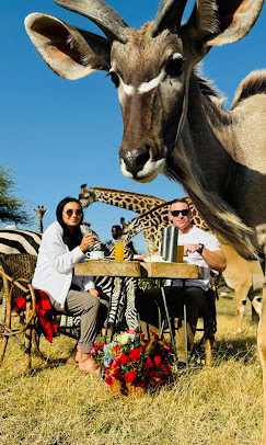 Romantic Honeymoon at Serval Wildlife