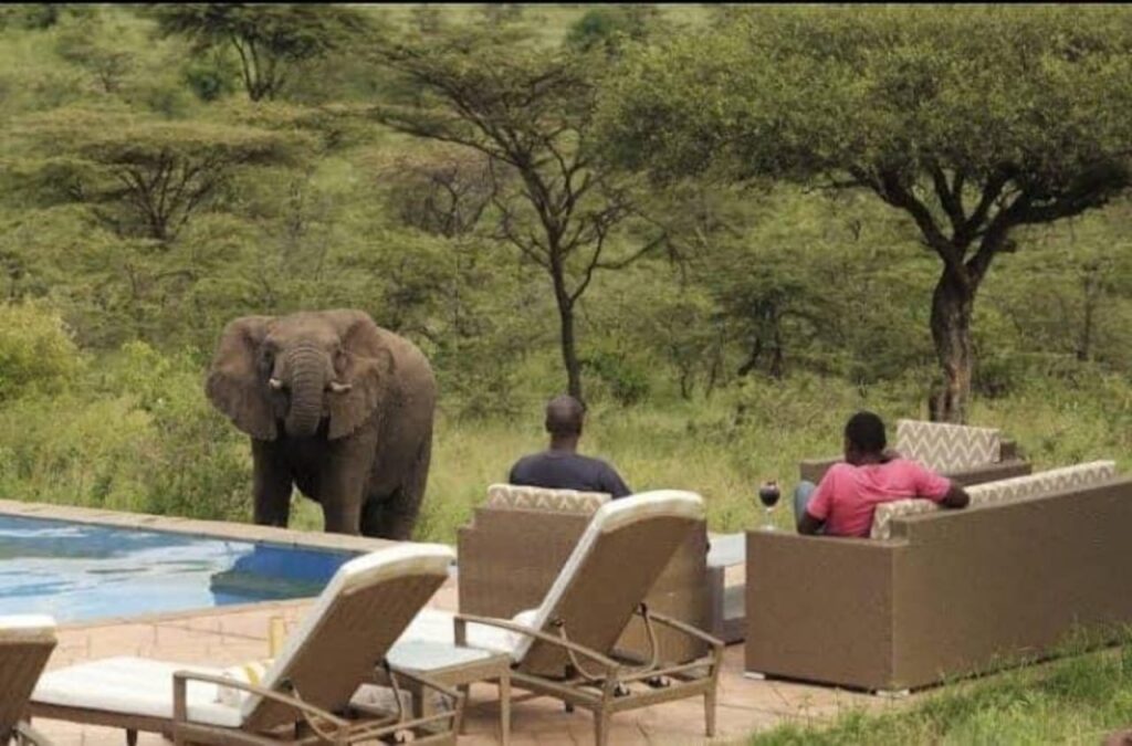 10-Day Kenya and Tanzania Combined Safari
