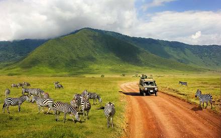 2-Day Ngorongoro Crater Safari from Zanzibar