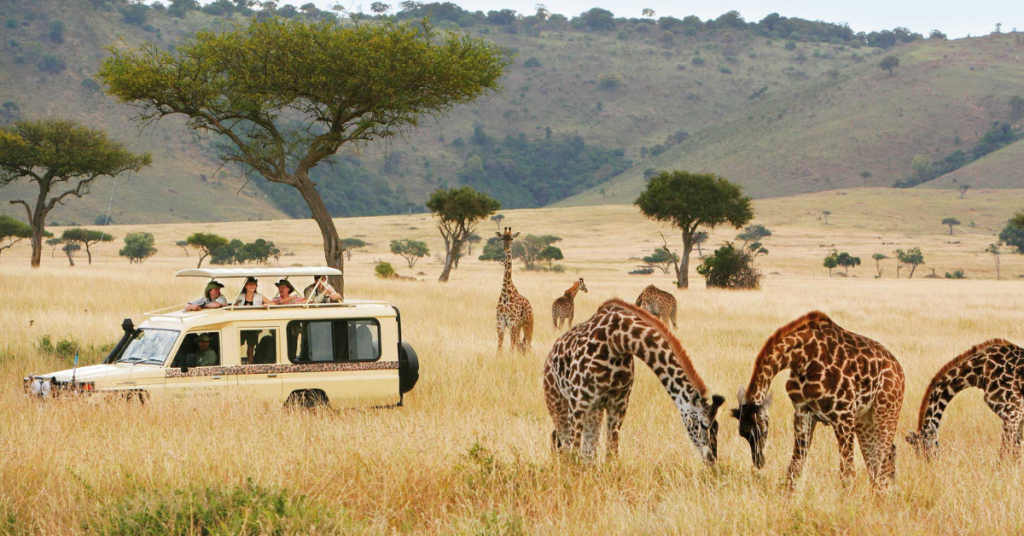 Tanzania Safari Tours