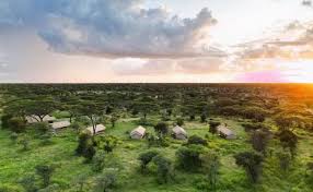 Africa safari Southern Serengeti(Ndutu)