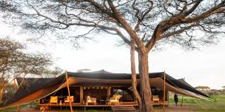 Nyuki Migration Camp