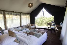 Nyuki Migration Camp