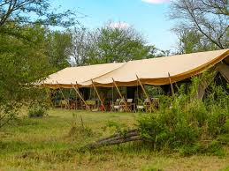Intimate Camp Zebra – Ndutu