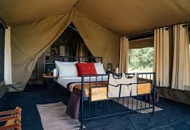 Intimate Camp Zebra – Ndutu