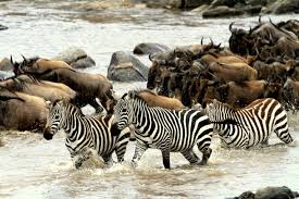 Northern Serengeti National Park