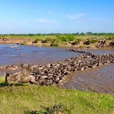 Northern Serengeti National Park