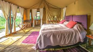Ndutu Under Canvas