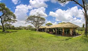 Lemala Ndutu Tented Camp
