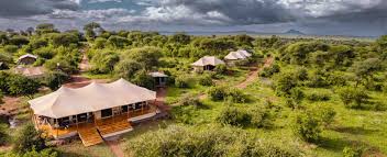Ang’ata Migration Camp – Ndutu