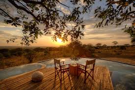 Serengeti Bushtops Camp