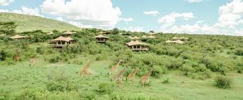 Serengeti Bushtops Camp