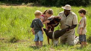 Children-Friendly Safari in Tanzania