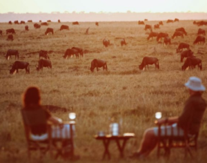 honeymoon safari in tanzania