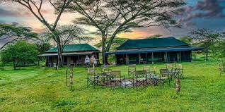 Nyuki Migration Camp
