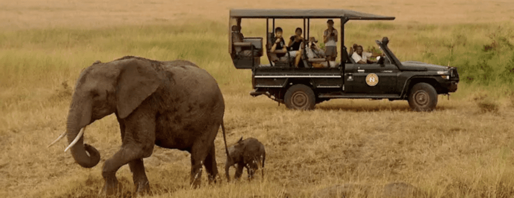 kenya tanzania safari
