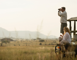 tanzania tours and safaris​