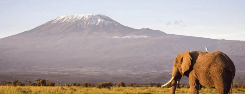 Best Tanzania Safari Tours
