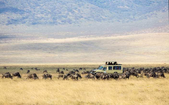 6-day Safari from mwanza