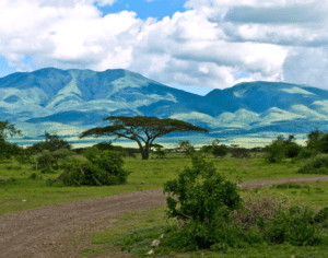 Serengeti National Park Tours