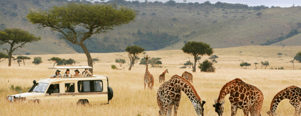 best safaris in tanzania