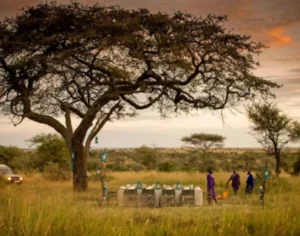 four seasons safari tanzania