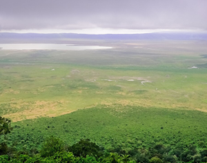 best safaris in tanzania​