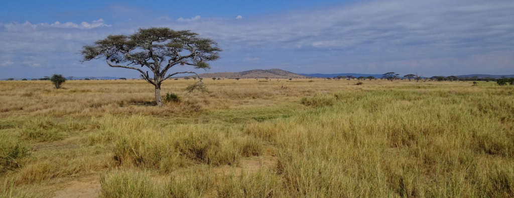Where Is Tanzania