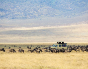 Where Is Tanzania