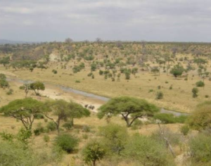 Where Is Tanzania