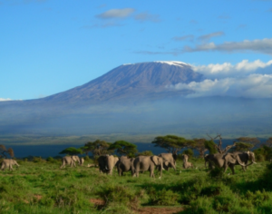 Where Is Tanzania