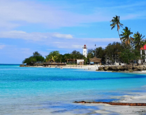 holidays tanzania zanzibar​