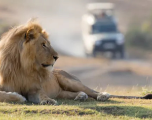 safari in tanzania best time