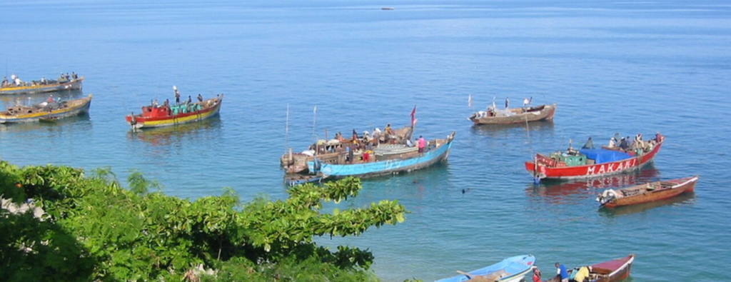 tanzania honeymoon safari packages