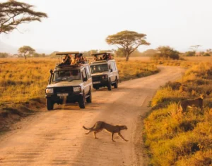 trip to tanzania