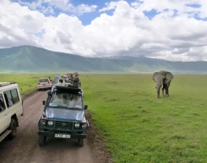trip to tanzania