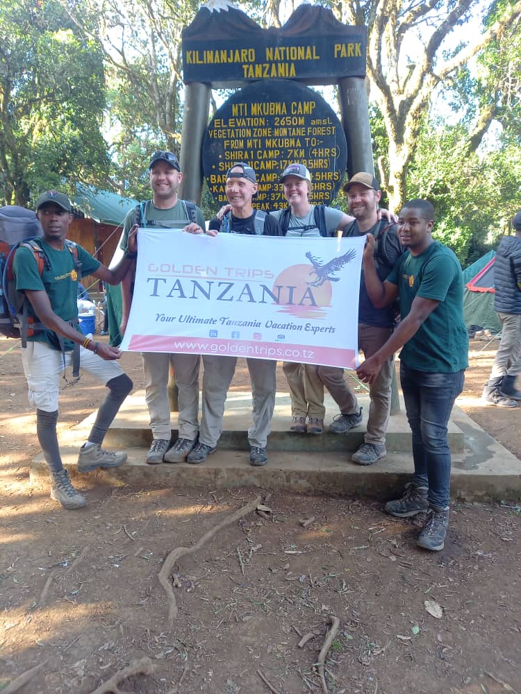 best time to safari in tanzania