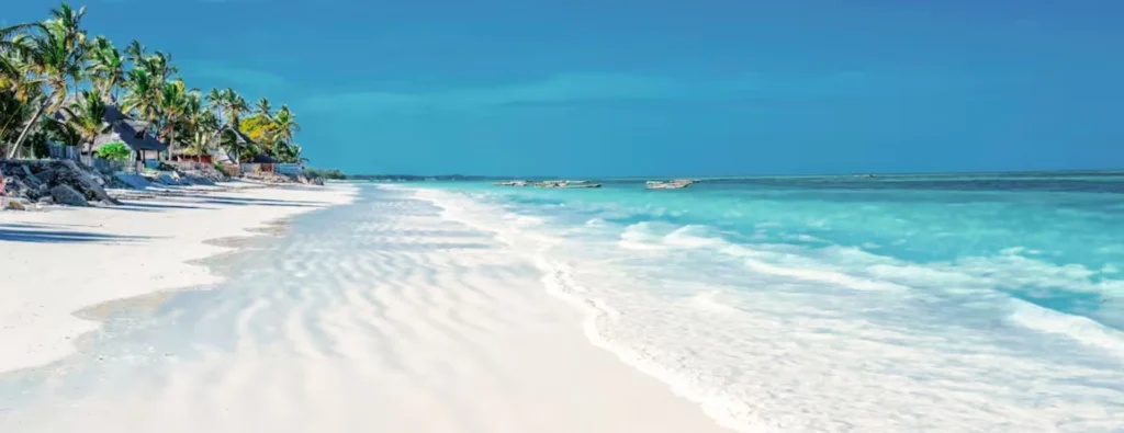 tanzania holidays safari and beach​
