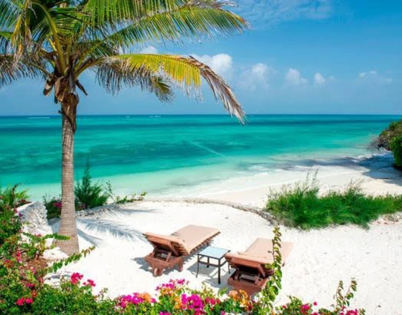 tanzania holidays safari and beach