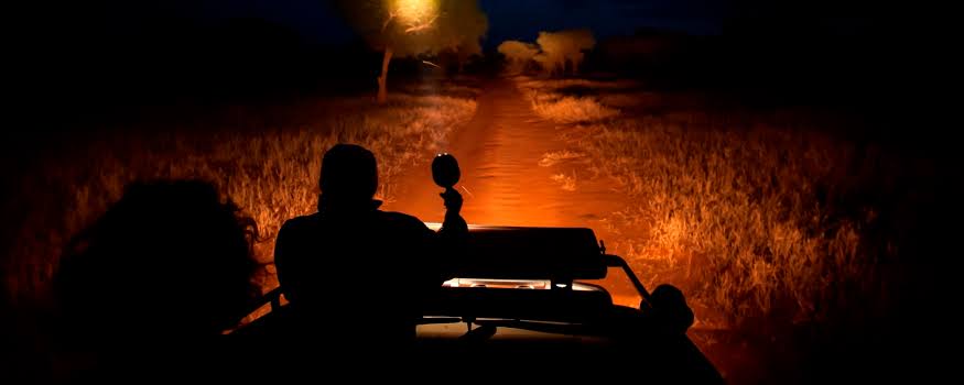 Lake Manyara night game drive