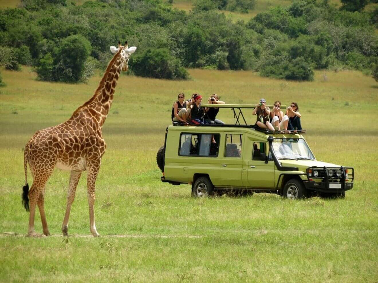 5 Days Tanzania Group Joining Safari: Tarangire, Serengeti, Ngorongoro Crater & Lake Manyara