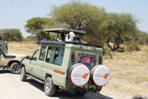 4 Days Tanzania Group Safari: Serengeti, Ngorongoro Crater & Tarangire