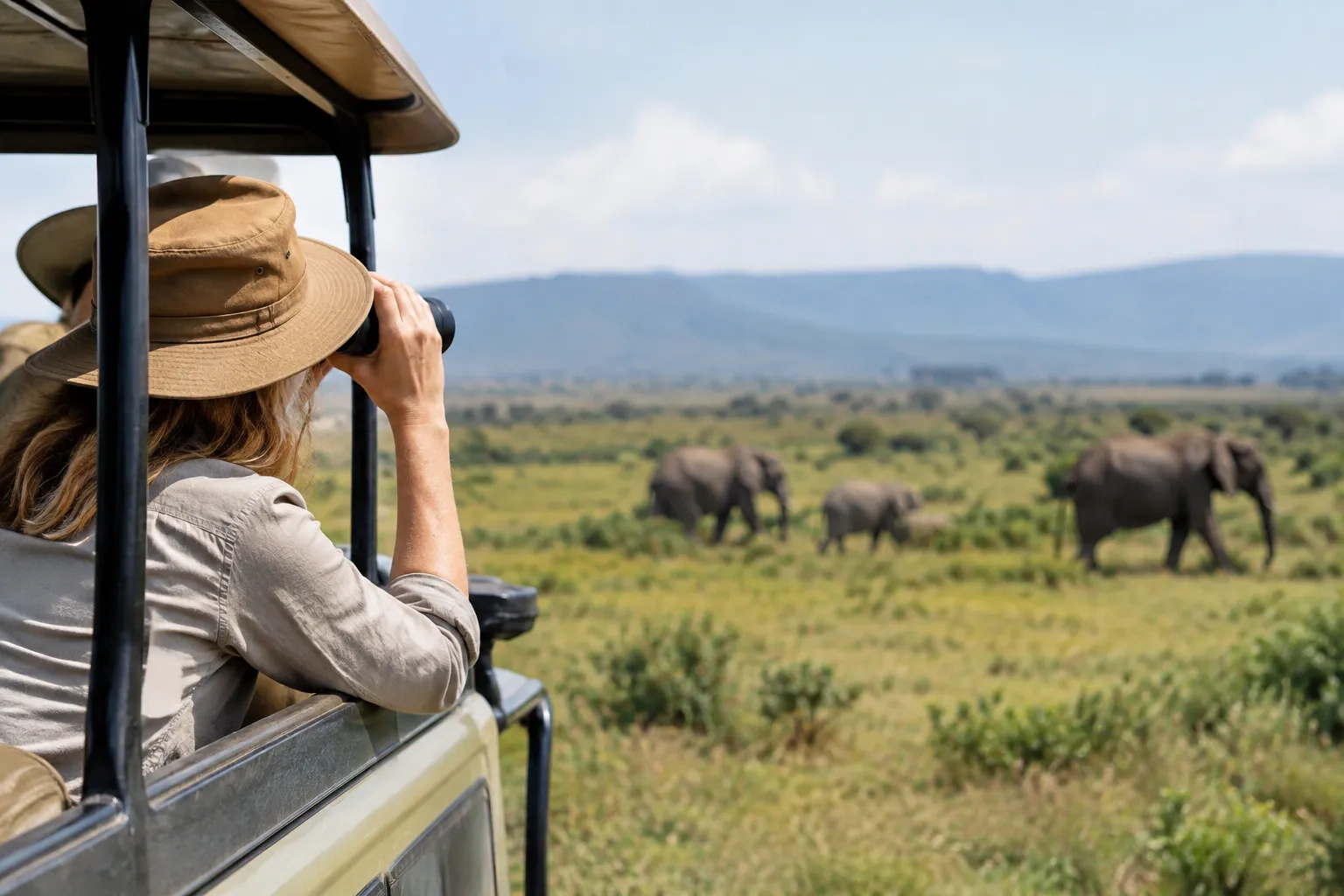 What Happens on a Safari? for what is a safari