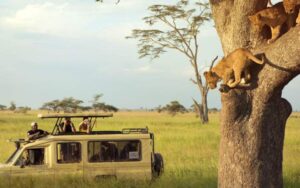 East Africa Safari Itinerary 10 Days