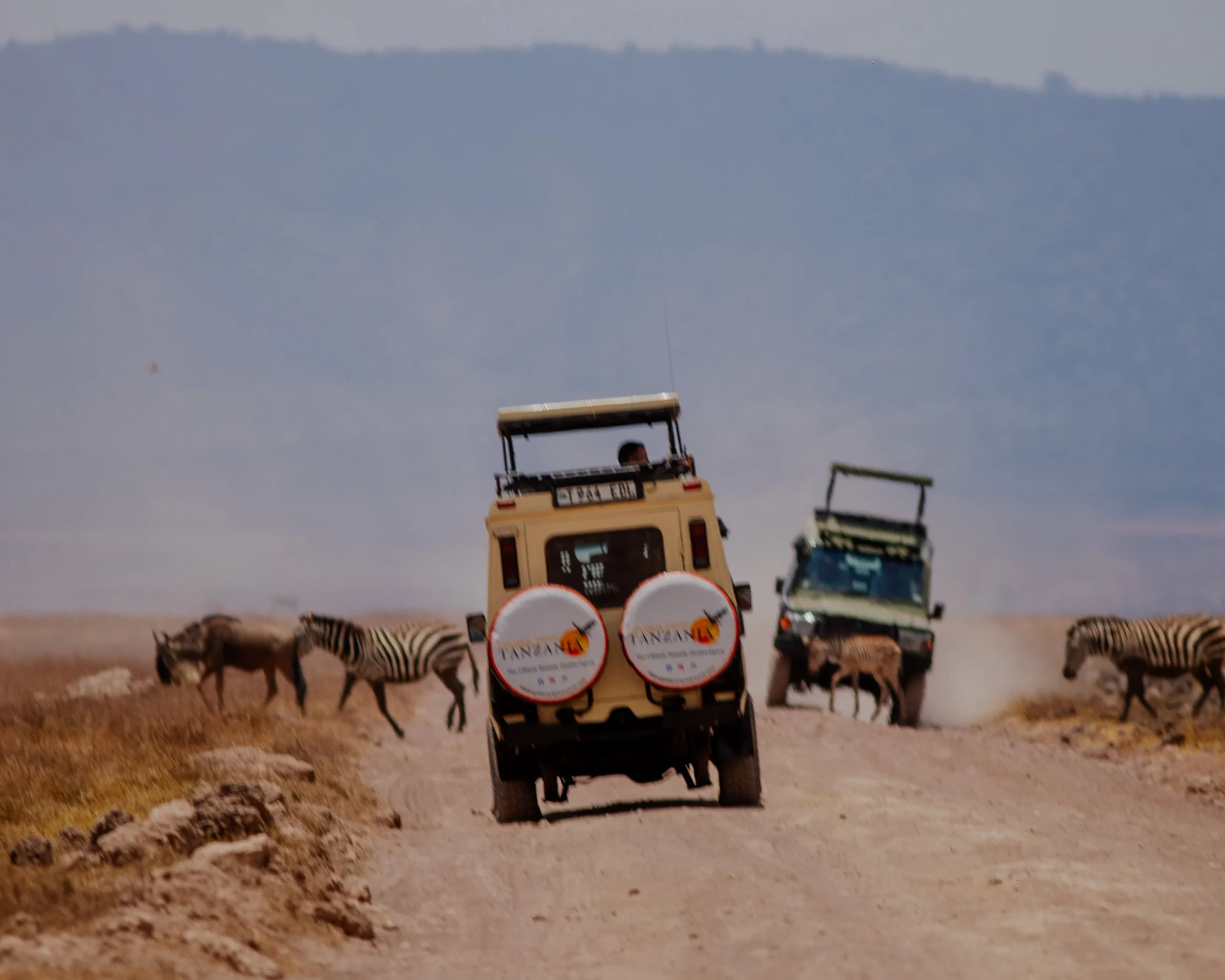 Tanzania and Zanzibar Safari